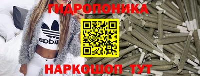 jwh Лесосибирск