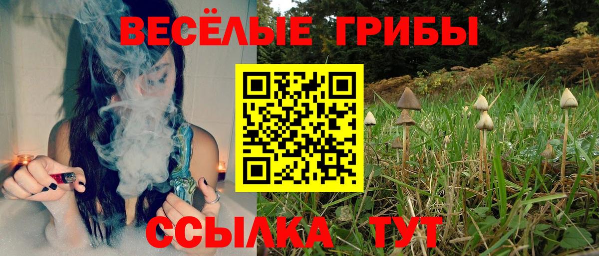 Улан-Удэ  Галлюциногенные грибы Magic Shrooms  наркота  Вход с VPN 